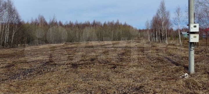 Участок 24,5 сот. (СНТ, ДНП)