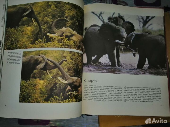 Книги о животных