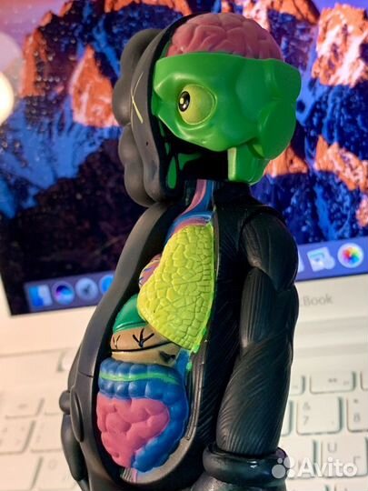 Kaws anatomy 20см фигурка