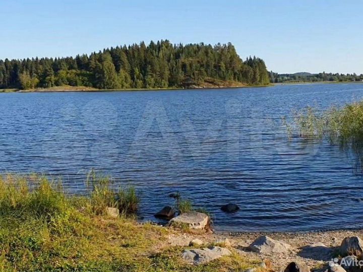 Дом 45 м² на участке 40 сот.