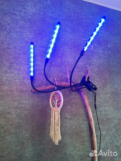 Фитолампа для растений