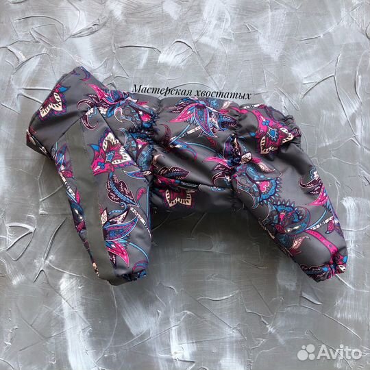 Пошив одежды для собак