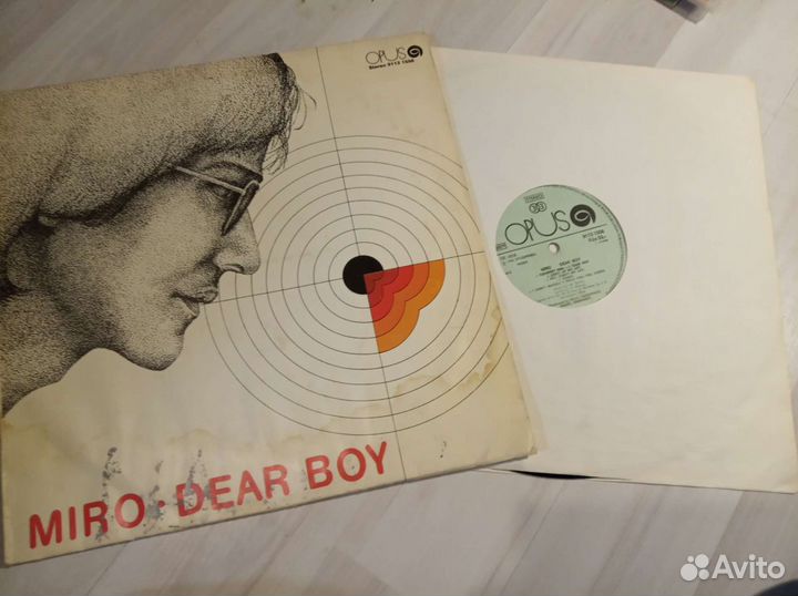 Виниловые пластинки