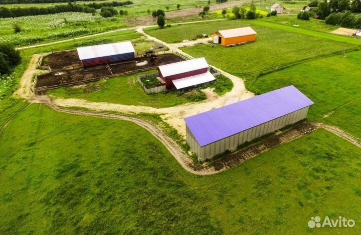 Ферма с возможностью расширения. Готовый бизнес