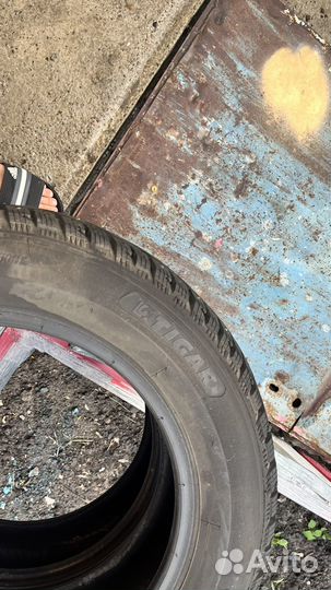 Tigar Winter 185/65 R15 92