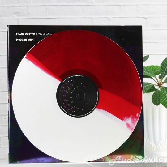 Frank carter & THE rattlesnakes - modern ruin (lim