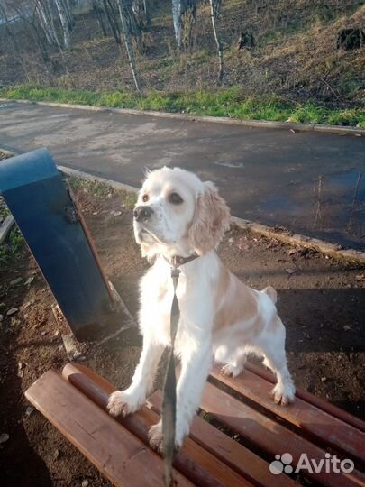 Ищем подругу