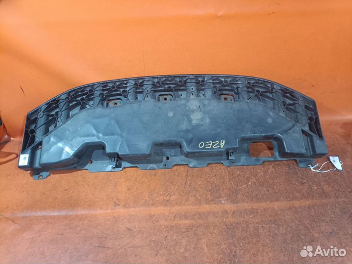 Защита бампера передняя Nissan Leaf AZE0