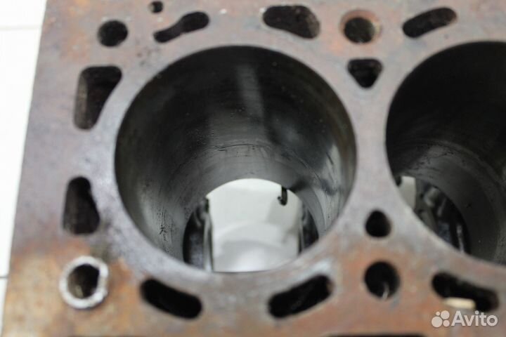 Блок двигателя для Renault Scenic 2 2003-2009