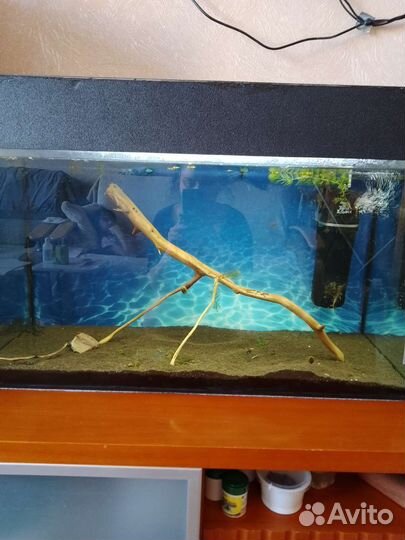 Все для аквариума