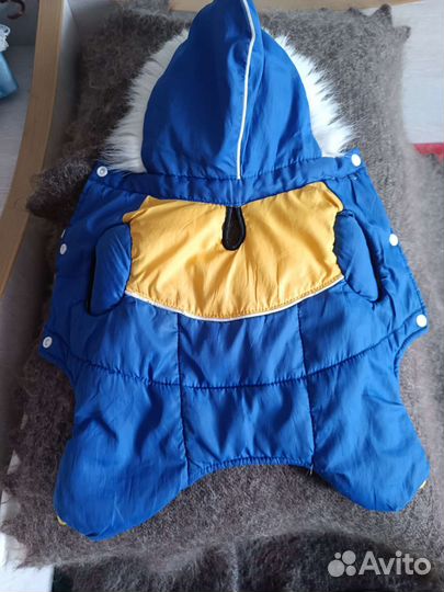 Одежда для щенков