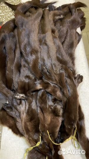 Шкурки норки, шкурки андатры, шкурки хорька