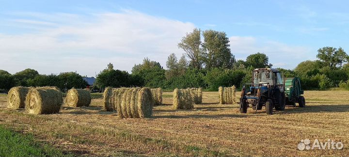 Сено в тюках и рулонах
