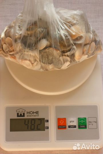 Ракушки, камушки, песок