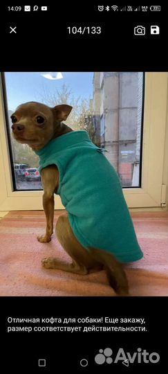 Одежда для маленьких собак