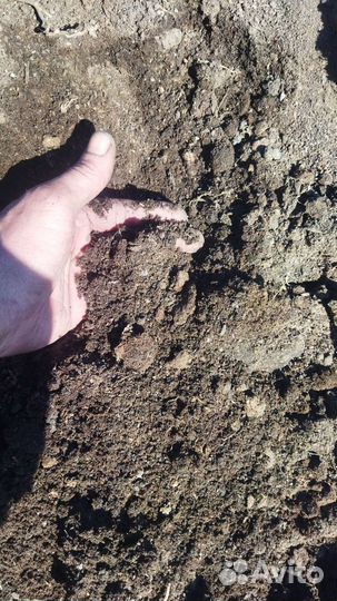 Перегной коровяк сухой чистый
