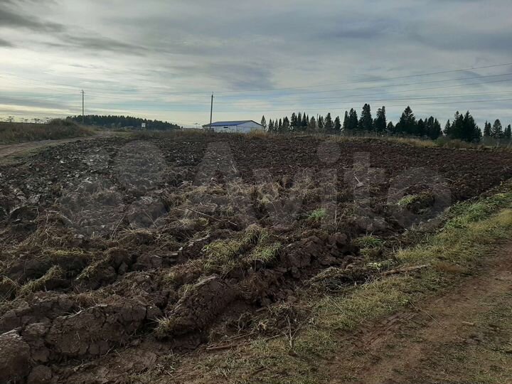 Участок 20 сот. (СНТ, ДНП)