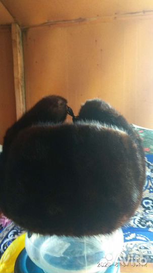 Норковая шапка мужская