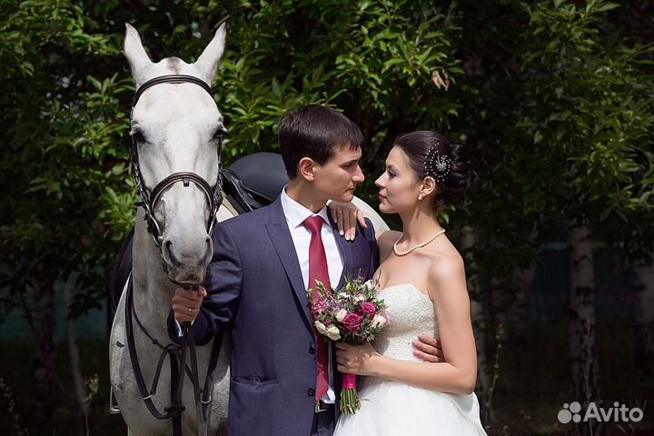 Пони, лошади, кареты. Конные прогулки