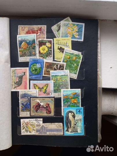 Коллекционные марки СССР