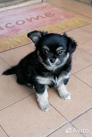 Милый малыш