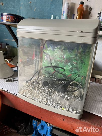 Аквариум