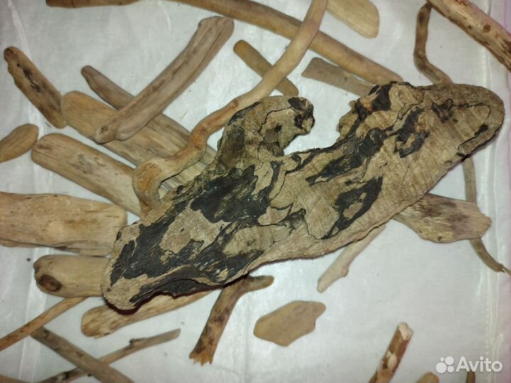 Коряги дрифтвуд