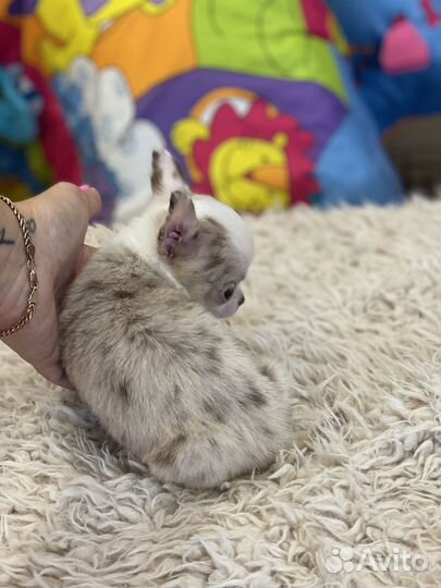 Мальчики и девочки