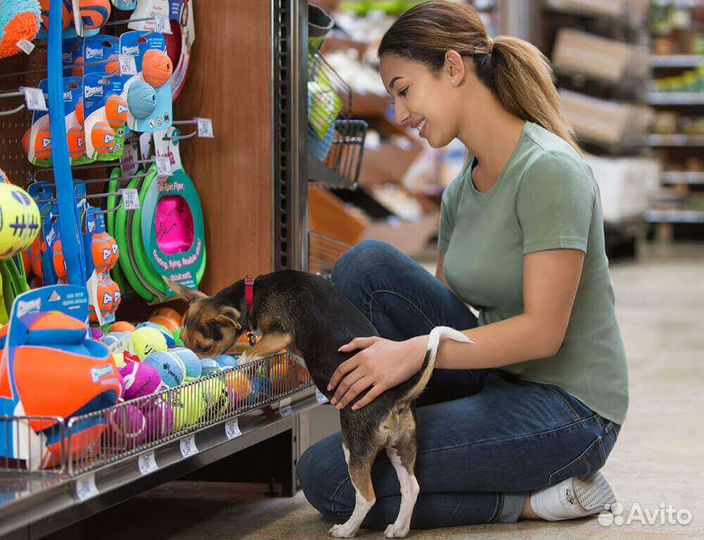 Продавец Зоотоваров