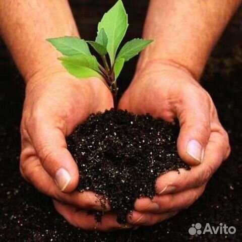 Концентрированное удобрение биогумус вермикомпост)