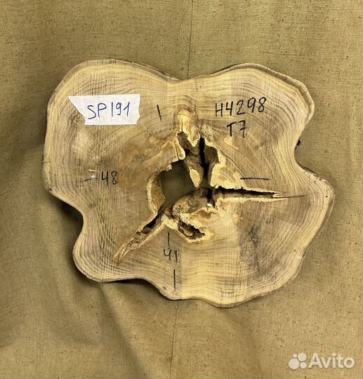 Спил акации