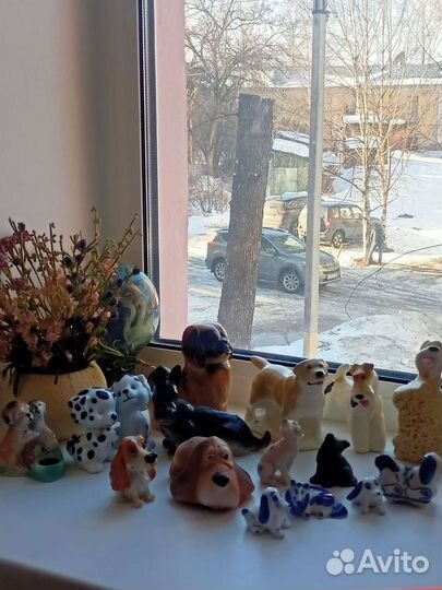 В коллекцию собачки