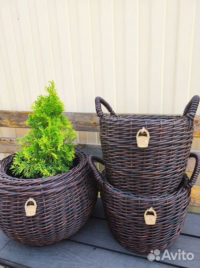 Кашпо горшок для цветов