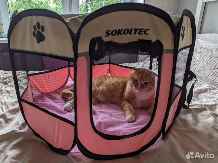 Манеж для животных манеж для котят манеж для собак