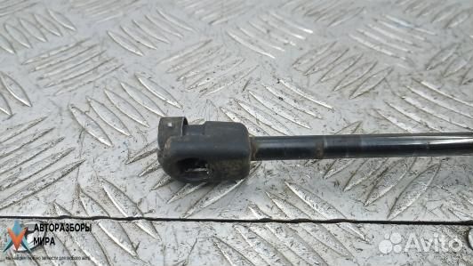 Амортизатор крышки багажника (3-5 двери) Renault 3