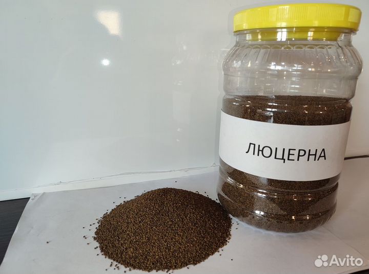 Семена люцерны