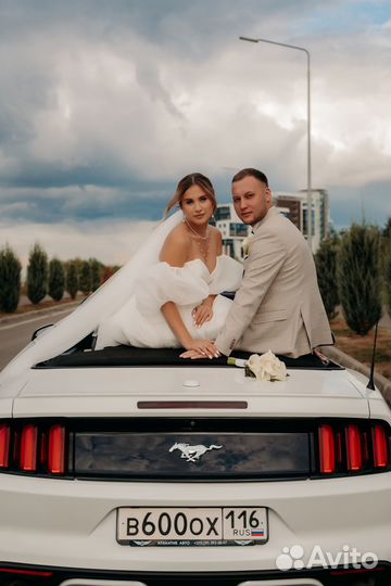 Фотосессия