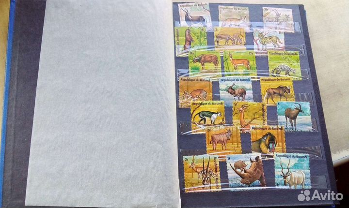 Альбом с коллекцией марки СССР