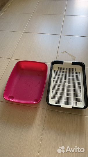 Лоток для котят