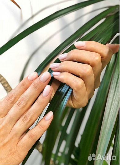 Маникюр и педикюр