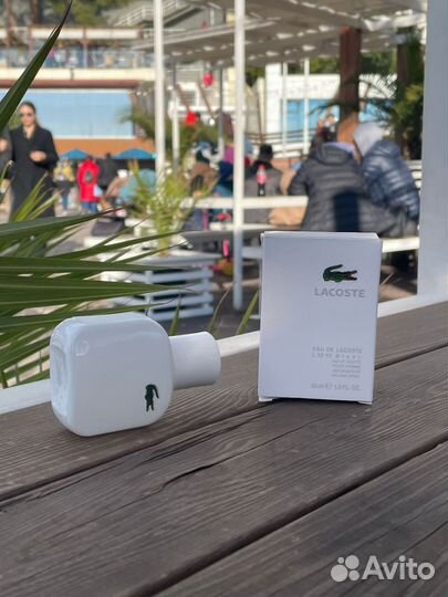Духи lacoste мужские