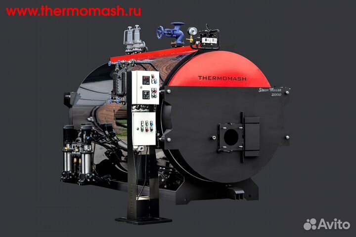 Паровой котел Thermomash 500- 5000 кг пара
