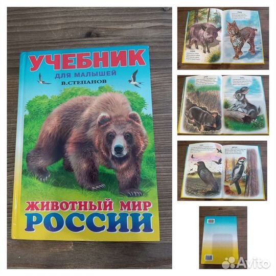 Азбуки, энциклопедии для детей