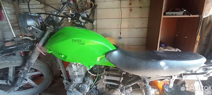 Racer 150-23 tiger
