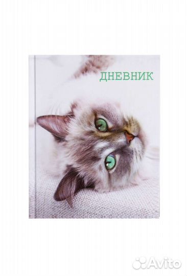 Дневники школьные