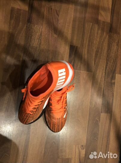 Сороконожки