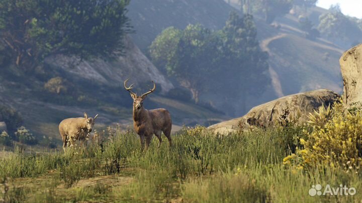 GTA 5 игры Xbox на Русском