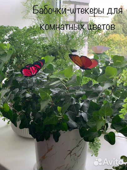 Штекер-бабочка, украшение для комнатных цветов