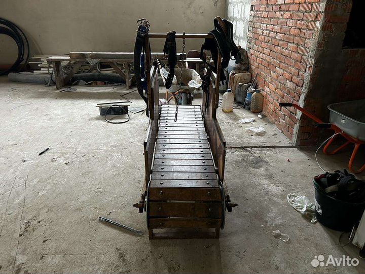 Беговая дорожка для спортивных собак