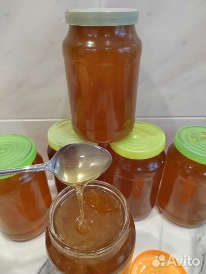 Мед 2023 года